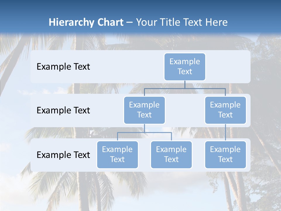 Tourism Shore Coconut PowerPoint Template