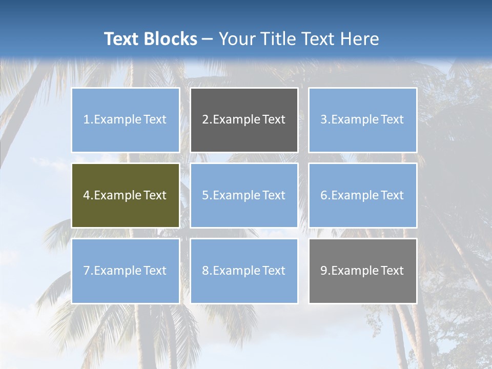 Tourism Shore Coconut PowerPoint Template