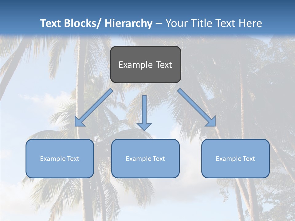 Tourism Shore Coconut PowerPoint Template
