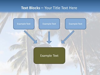 Tourism Shore Coconut PowerPoint Template