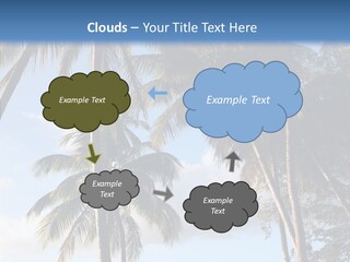 Tourism Shore Coconut PowerPoint Template