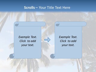 Tourism Shore Coconut PowerPoint Template