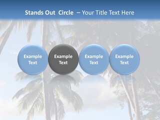 Tourism Shore Coconut PowerPoint Template