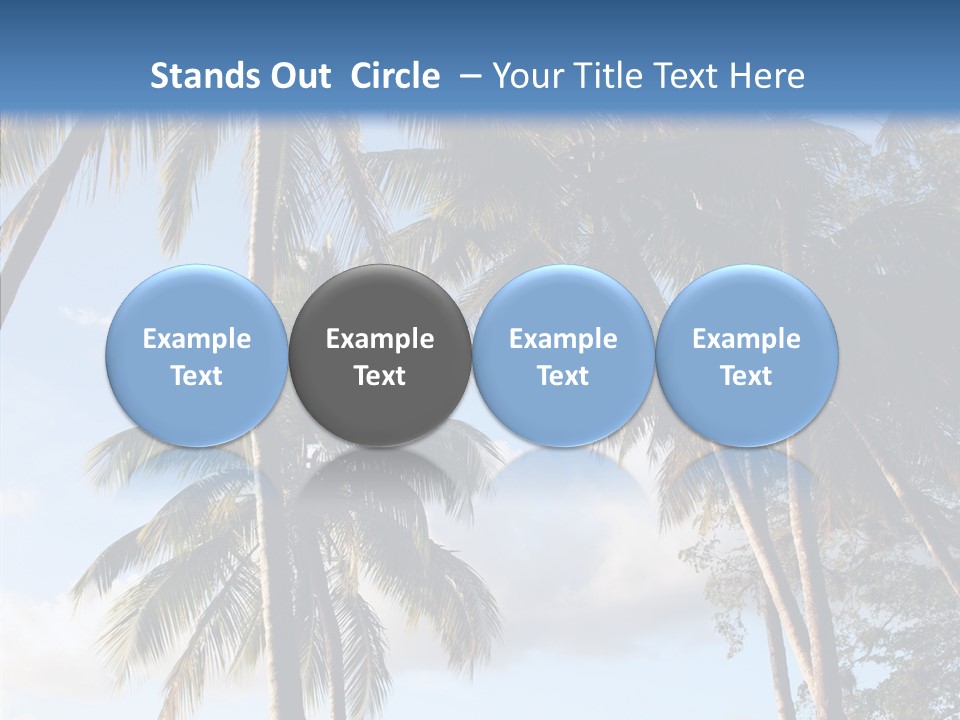 Tourism Shore Coconut PowerPoint Template