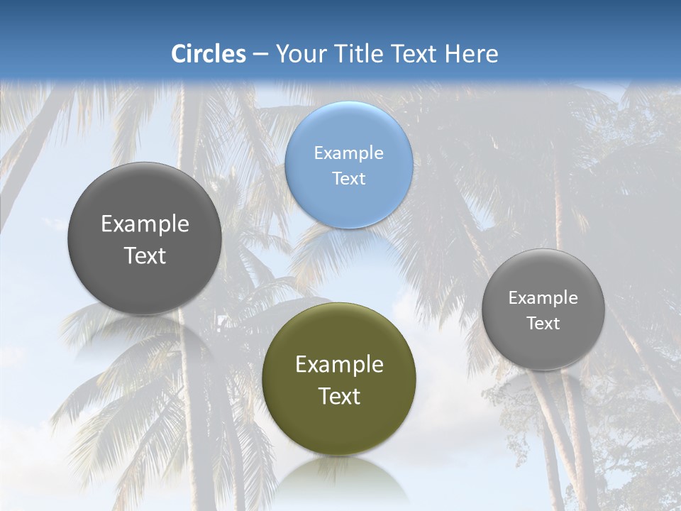 Tourism Shore Coconut PowerPoint Template