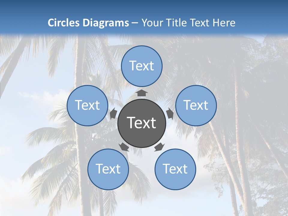 Tourism Shore Coconut PowerPoint Template