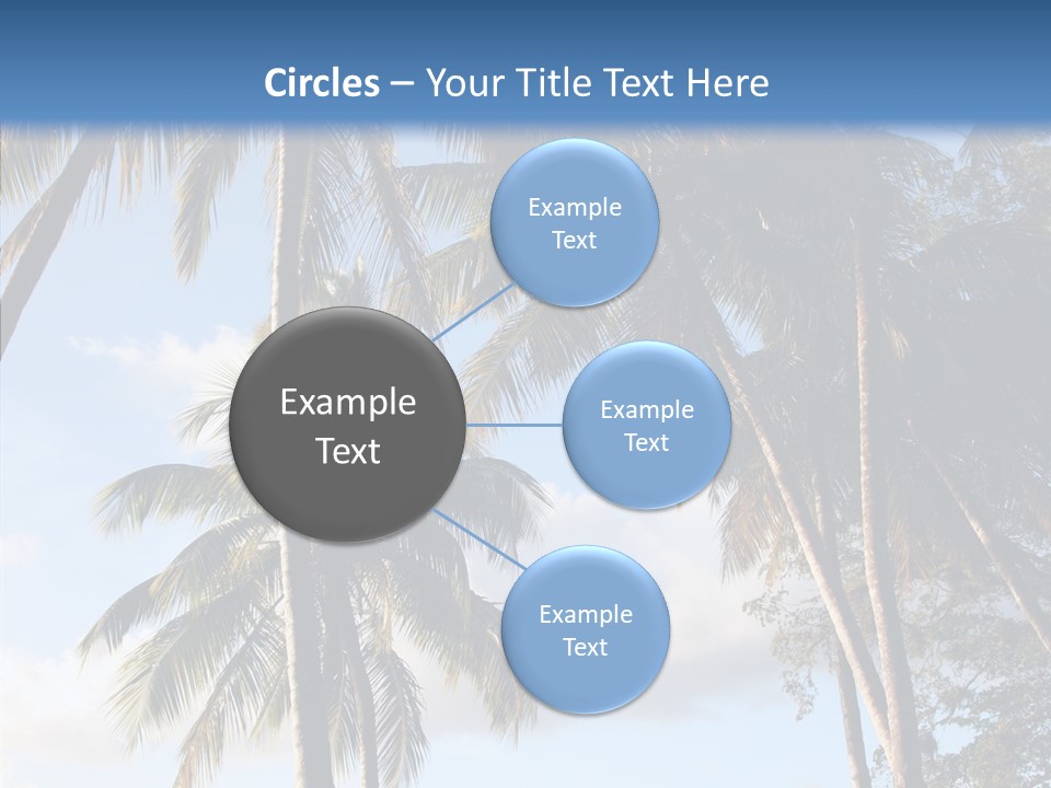Tourism Shore Coconut PowerPoint Template