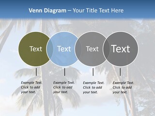 Tourism Shore Coconut PowerPoint Template