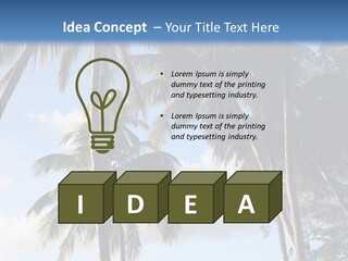 Tourism Shore Coconut PowerPoint Template