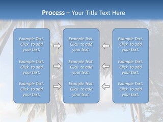 Tourism Shore Coconut PowerPoint Template