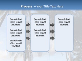 Tourism Shore Coconut PowerPoint Template