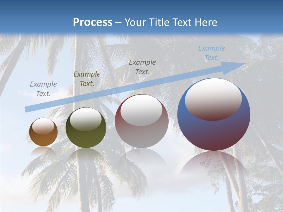 Tourism Shore Coconut PowerPoint Template