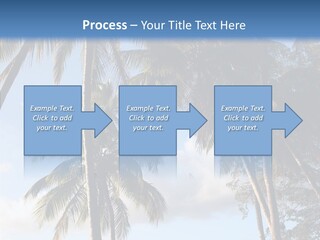 Tourism Shore Coconut PowerPoint Template