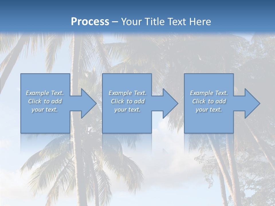 Tourism Shore Coconut PowerPoint Template