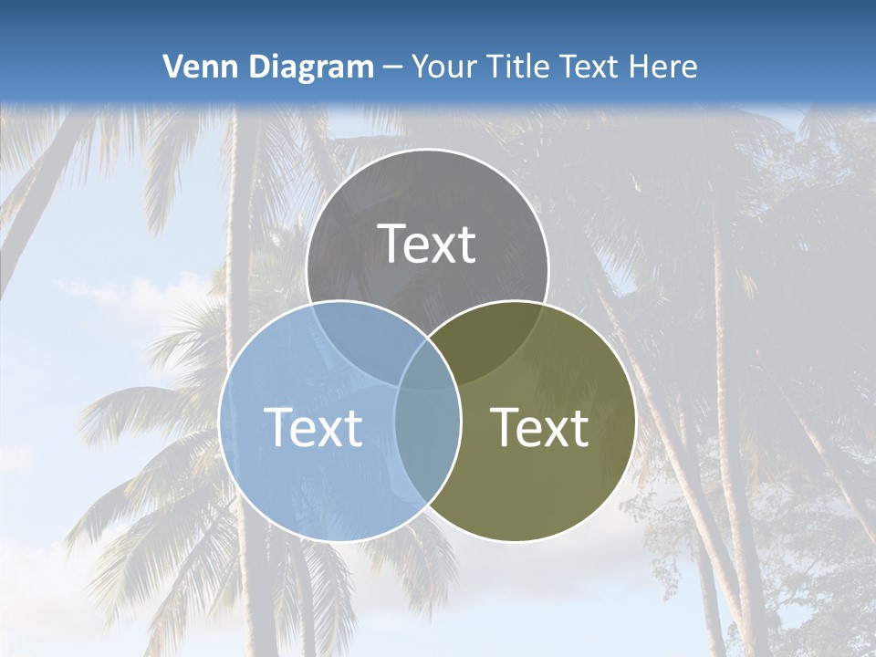 Tourism Shore Coconut PowerPoint Template