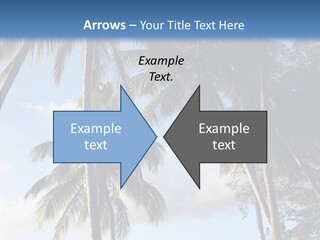 Tourism Shore Coconut PowerPoint Template