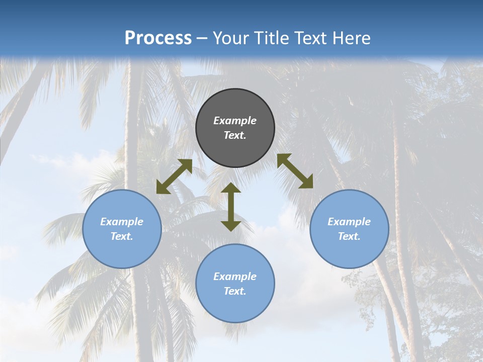 Tourism Shore Coconut PowerPoint Template