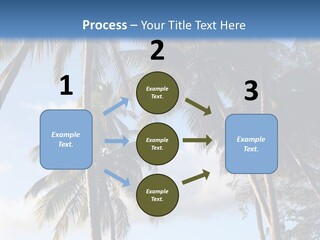 Tourism Shore Coconut PowerPoint Template