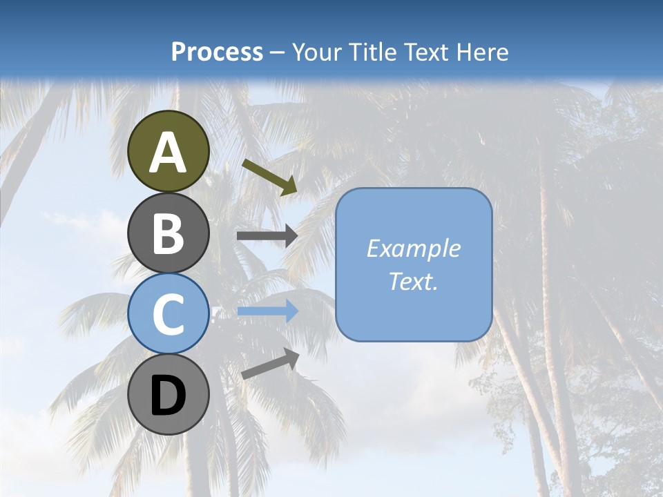 Tourism Shore Coconut PowerPoint Template
