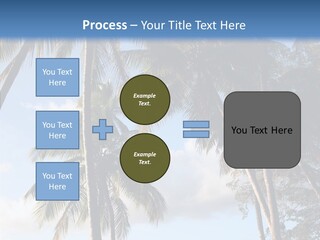 Tourism Shore Coconut PowerPoint Template