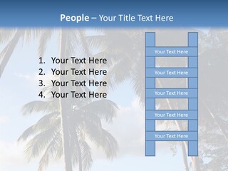 Tourism Shore Coconut PowerPoint Template