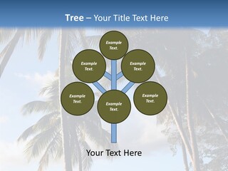 Tourism Shore Coconut PowerPoint Template