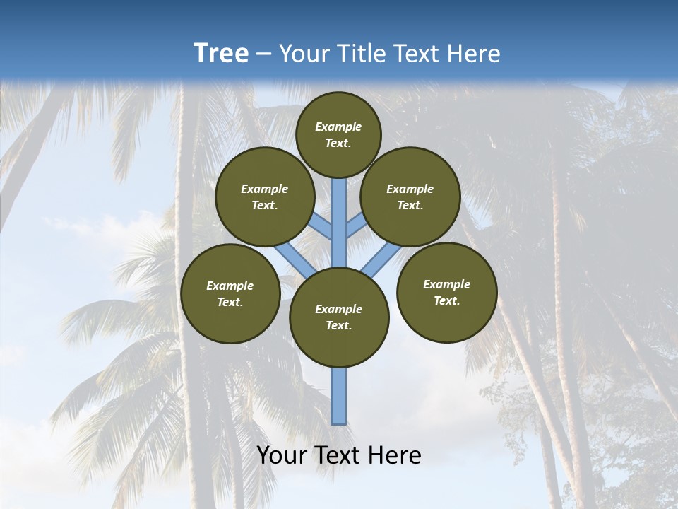 Tourism Shore Coconut PowerPoint Template