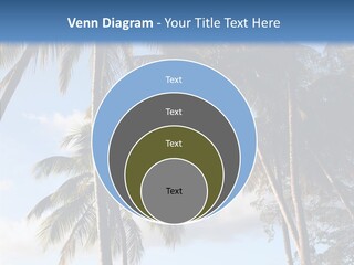 Tourism Shore Coconut PowerPoint Template