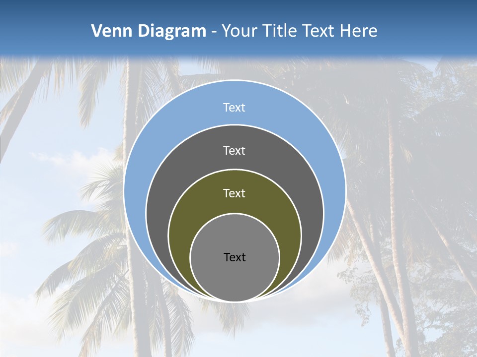 Tourism Shore Coconut PowerPoint Template