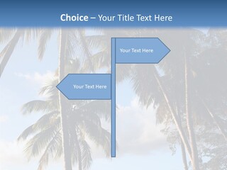 Tourism Shore Coconut PowerPoint Template