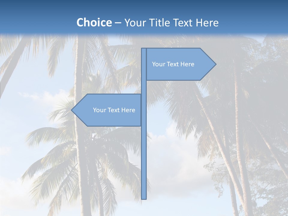 Tourism Shore Coconut PowerPoint Template