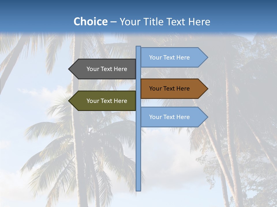 Tourism Shore Coconut PowerPoint Template