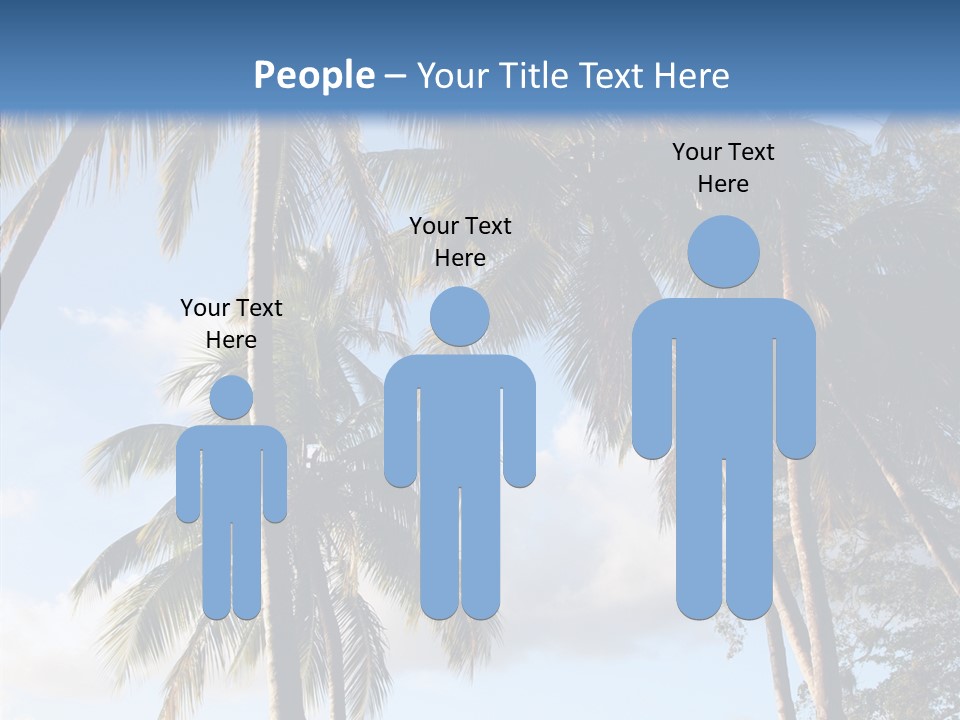 Tourism Shore Coconut PowerPoint Template