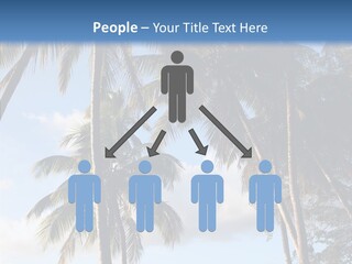 Tourism Shore Coconut PowerPoint Template