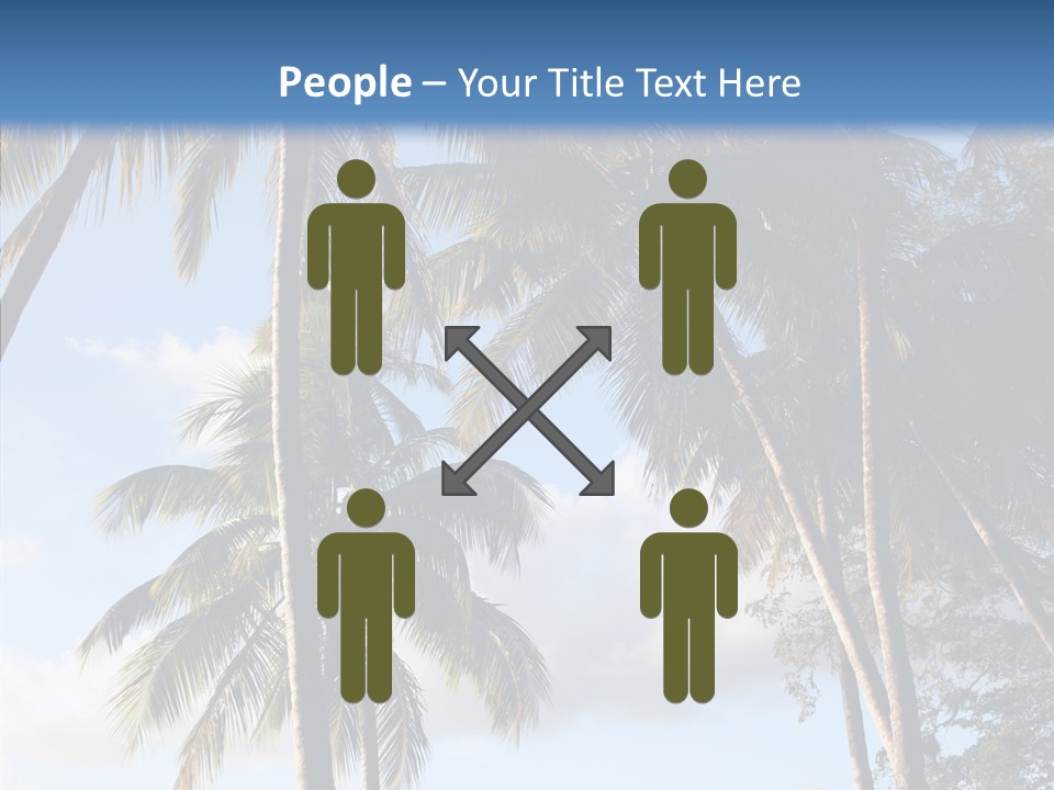 Tourism Shore Coconut PowerPoint Template