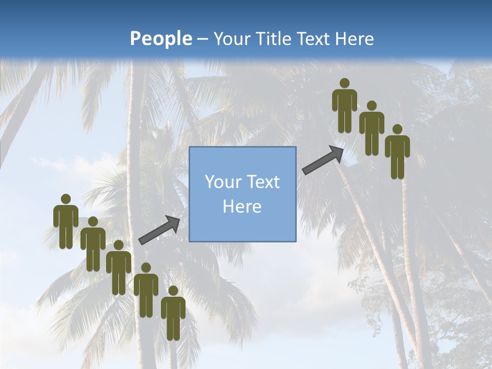 Tourism Shore Coconut PowerPoint Template