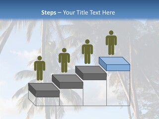 Tourism Shore Coconut PowerPoint Template