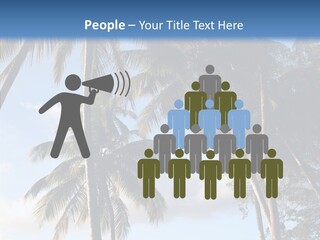 Tourism Shore Coconut PowerPoint Template