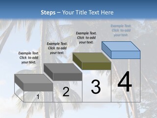 Tourism Shore Coconut PowerPoint Template
