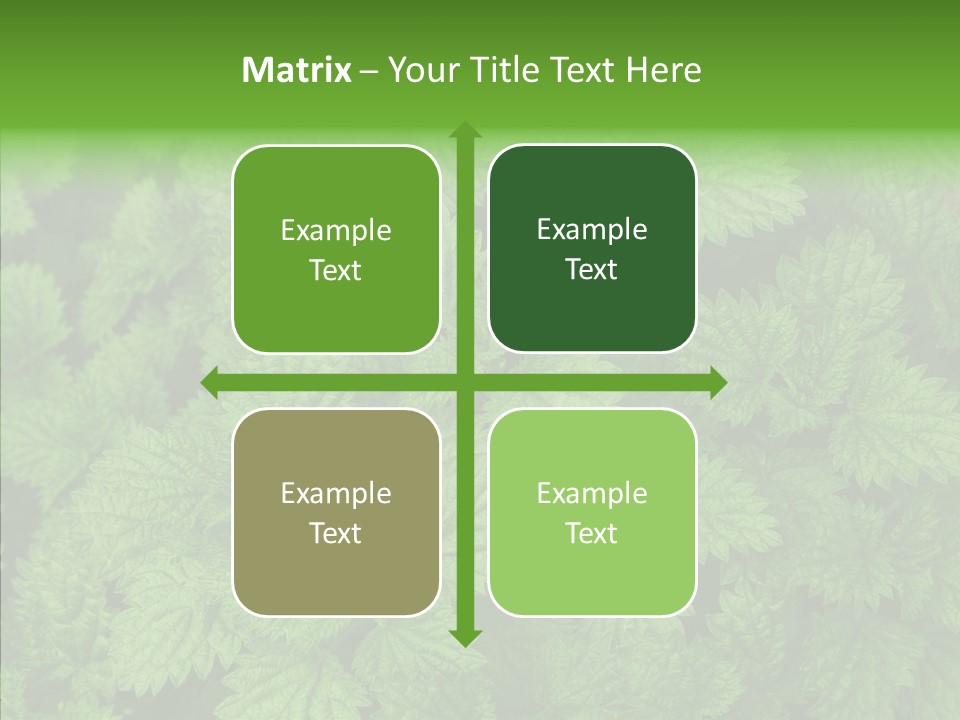 Spring Food Development PowerPoint Template