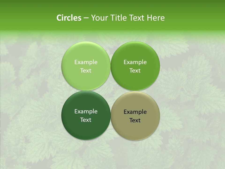 Spring Food Development PowerPoint Template