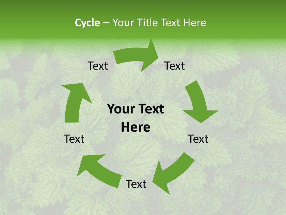 Spring Food Development PowerPoint Template