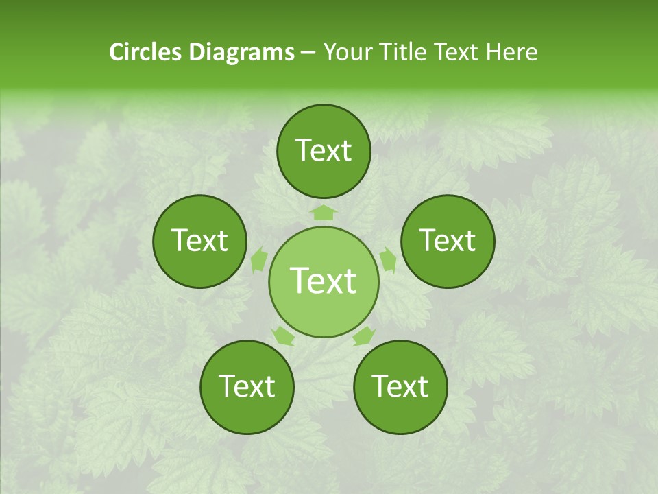 Spring Food Development PowerPoint Template