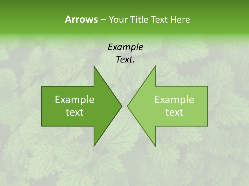 Spring Food Development PowerPoint Template