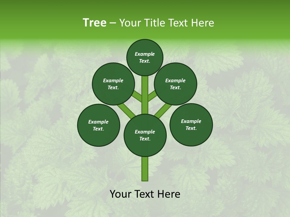 Spring Food Development PowerPoint Template