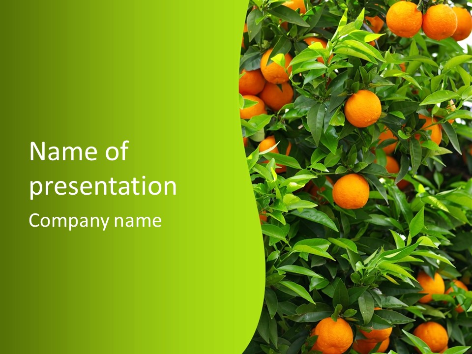 Citrus Growers Farm PowerPoint Template