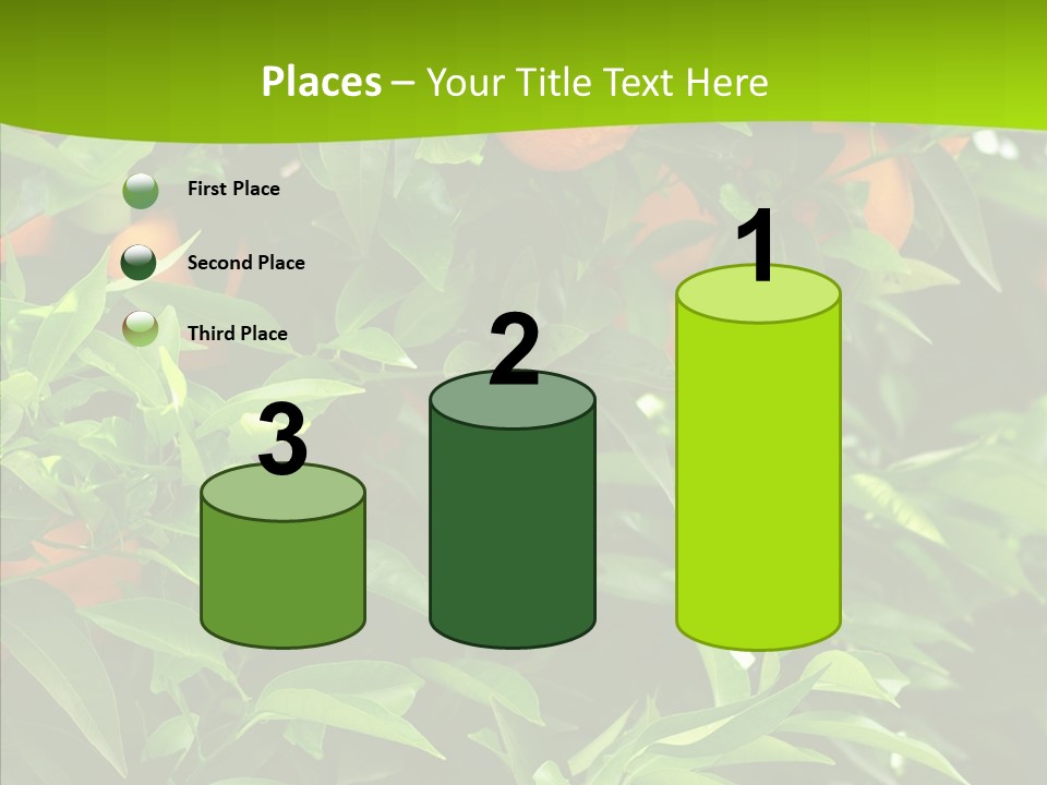 Citrus Growers Farm PowerPoint Template