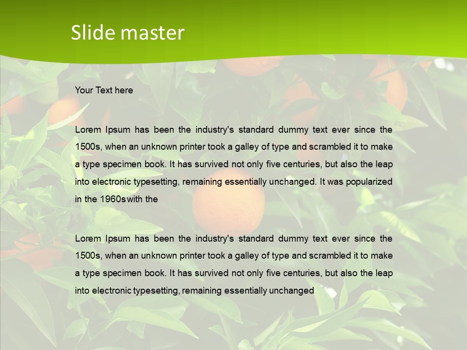 Citrus Growers Farm PowerPoint Template