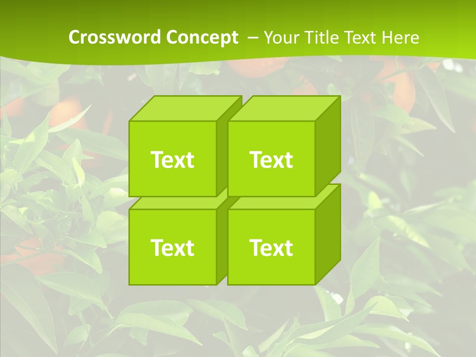 Citrus Growers Farm PowerPoint Template