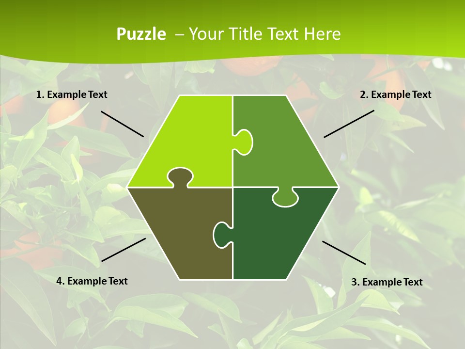 Citrus Growers Farm PowerPoint Template